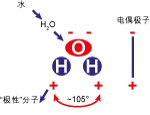 双极水分子